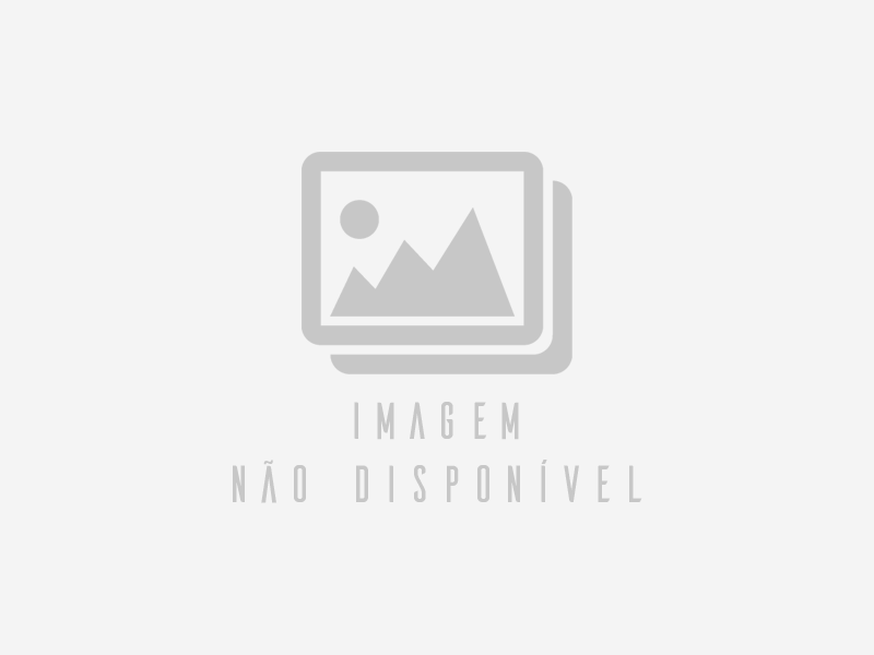 UMA GLEBA DE TERRAS DE 206 HECTARES NO SUBDISTRITO DE PALMAS - BAGÉ/RS - Imagem não disponível
