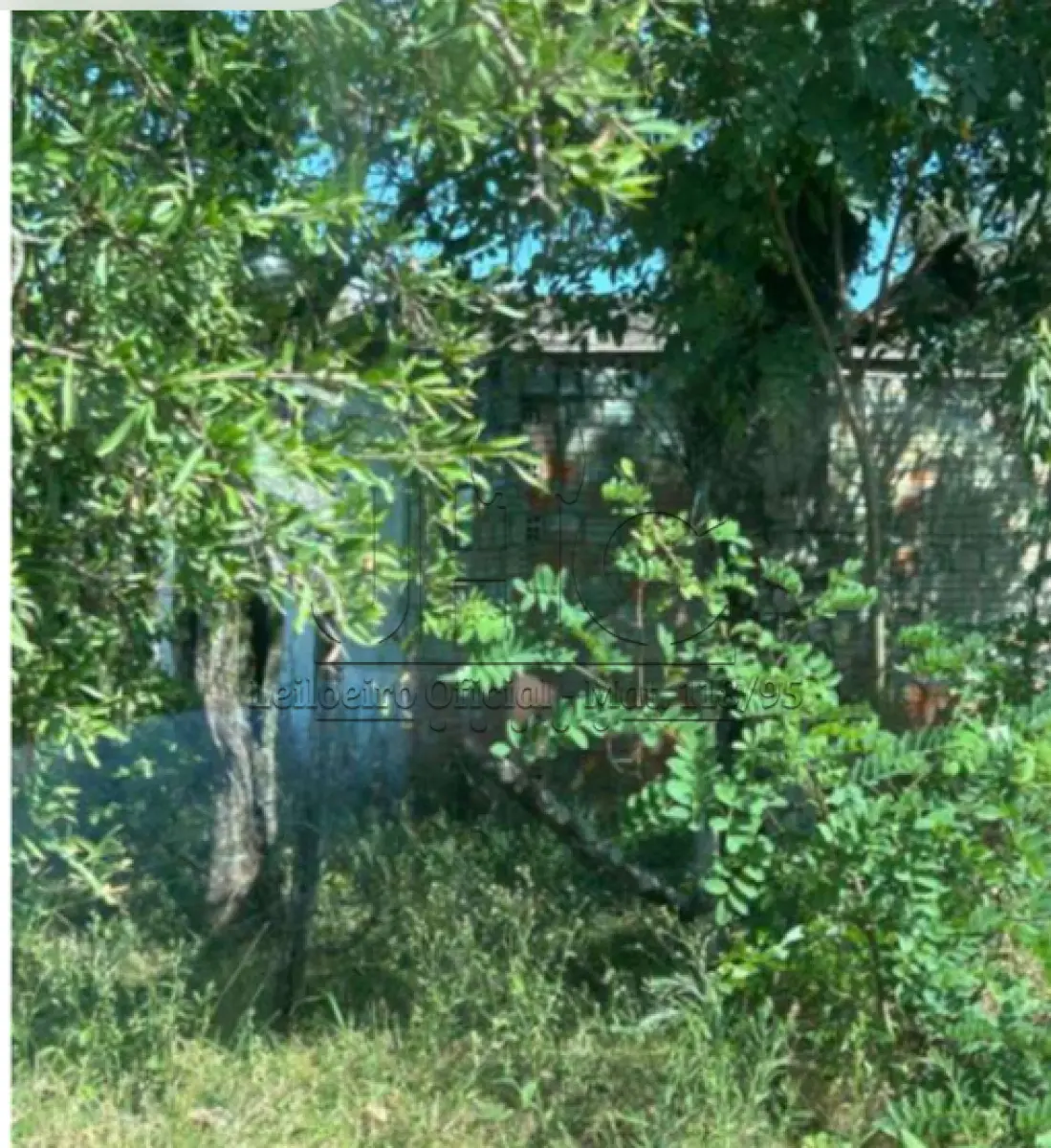 LOTE 001 - UMA FRAÇÃO DE TERRAS DE 14.738 M² NO BAIRRO SÃO MARTINS - BAGÉ/RS