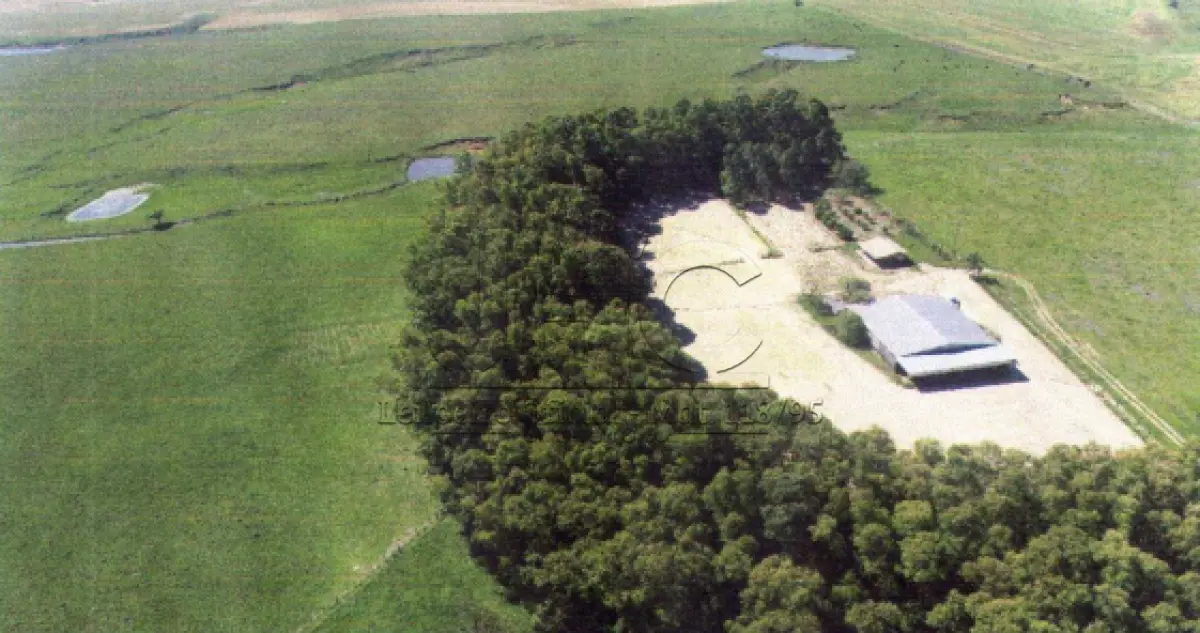 LOTE 001 - UMA FRAÇÃO DE CAMPO DE 160HA NO DISTRITO DO BATOVI COM BENFEITORIAS - SÃO GABRIEL/RS