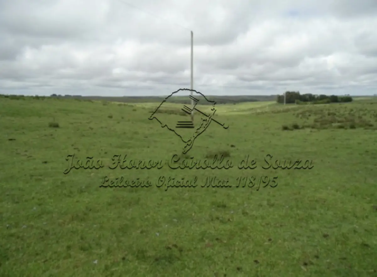 LOTE 001