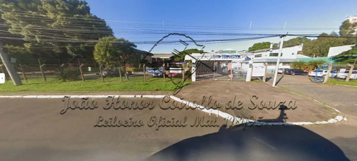 LOTE 000