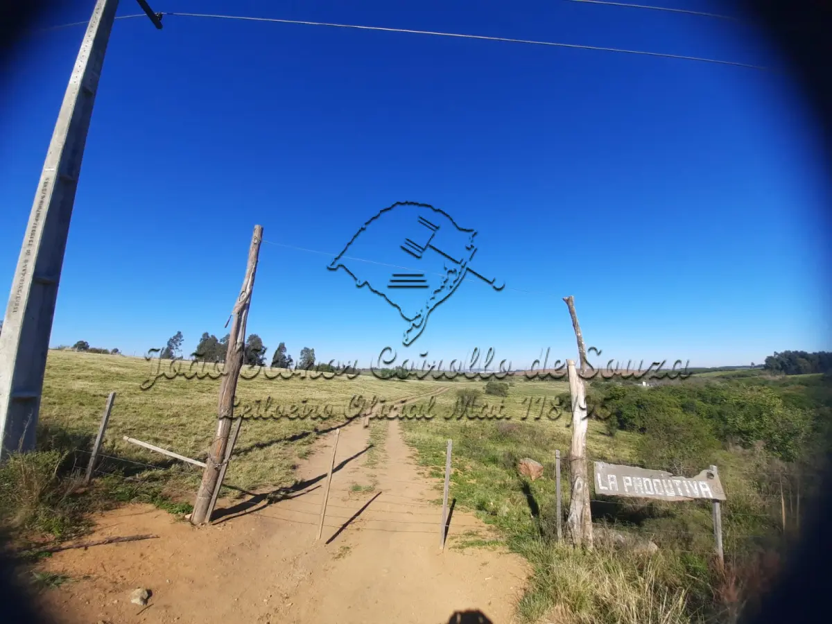 UMA FRAÇÃO DE CAMPO CORRESPONDENTE A 5HA 6.685 M² NO RINCÃO DA SANTA TECLA
