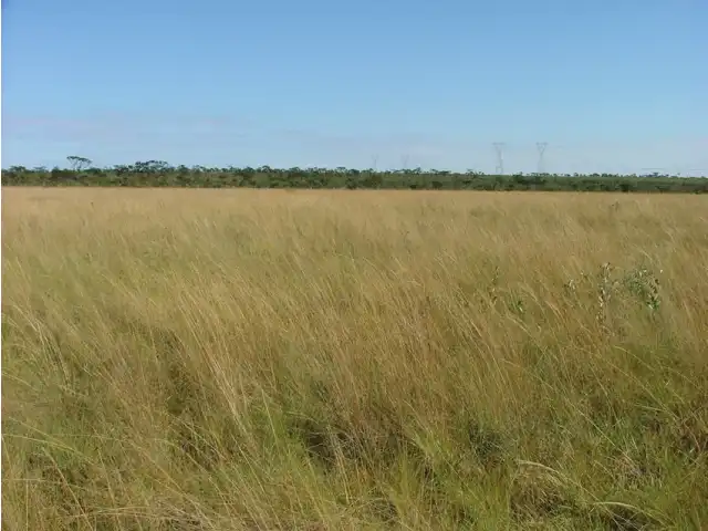 UMA FRAÇÃO DE CAMPO DE 87 HA 1.200M² NO DISTRITO DE PALMAS