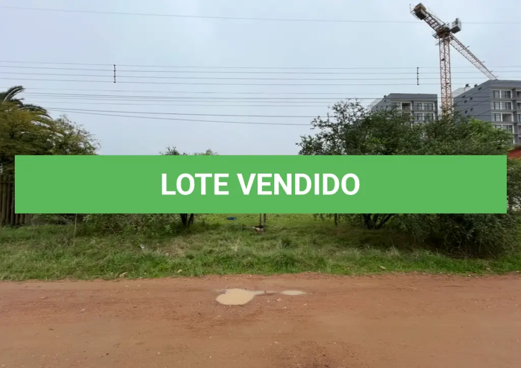 LOTE 001