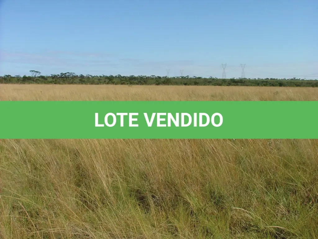 LOTE 000