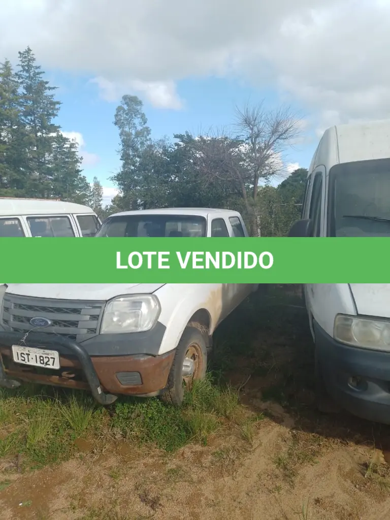 LOTE 0006