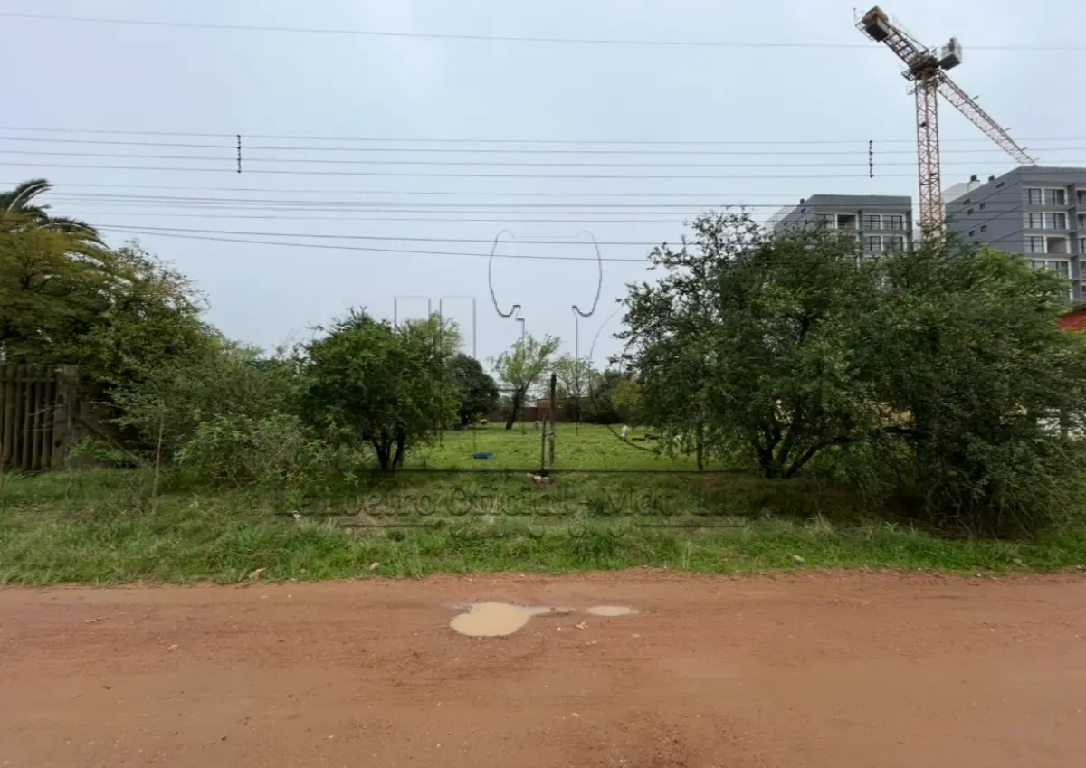 LOTE 001 - UM TERRENO 20X50 NA RUA ODILON ALVARES