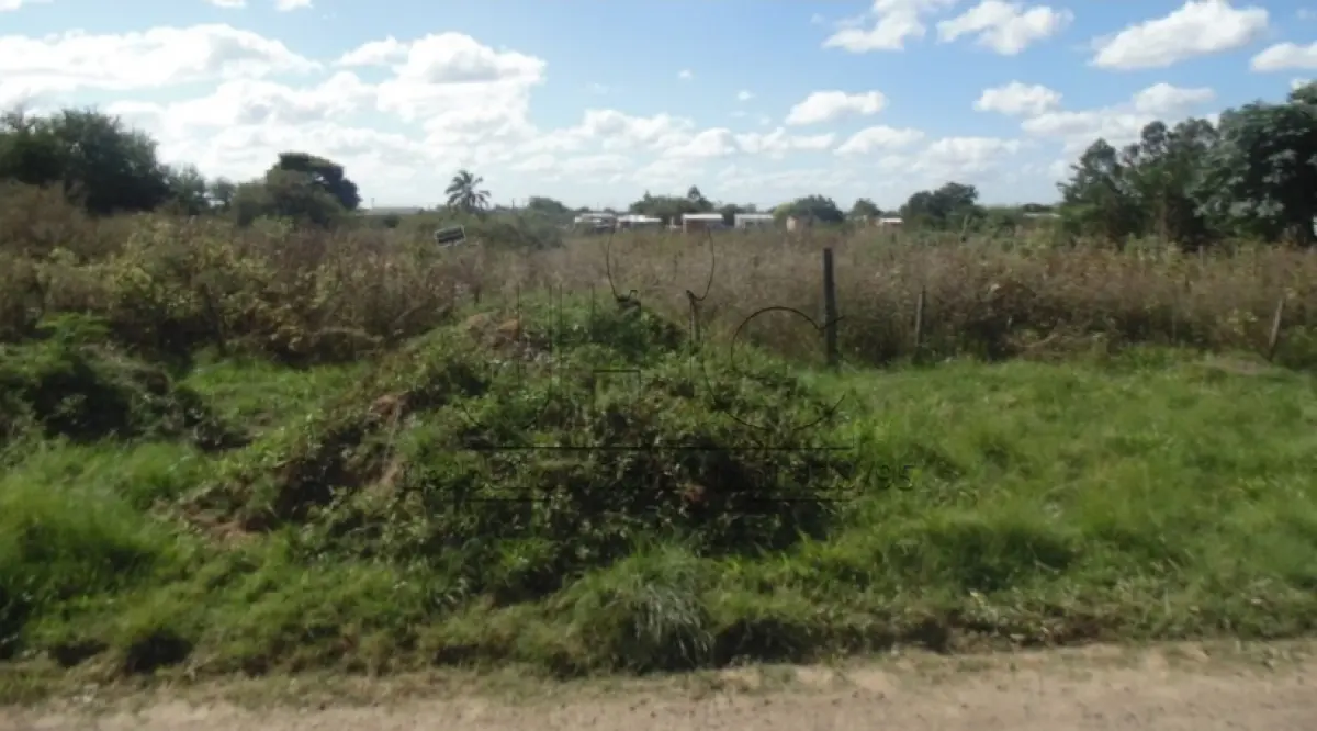 LOTE 000