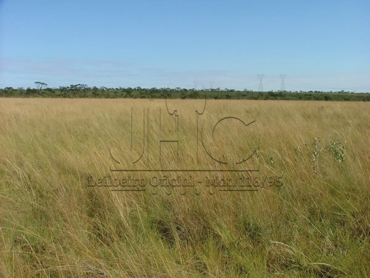 LOTE 000 - UMA FRAÇÃO DE CAMPO DE 87 HA 1.200 M² NO DISTRITO DAS PALMAS