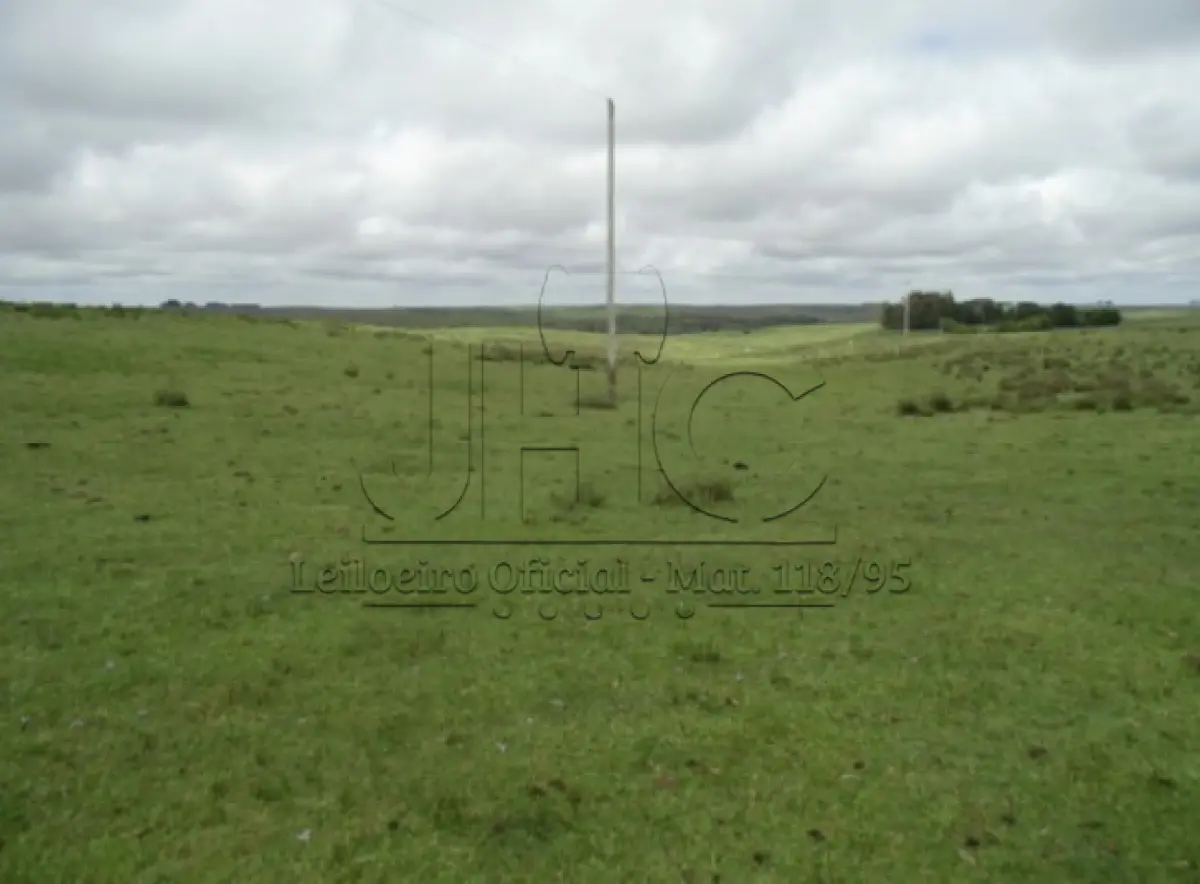 LOTE 001 - UMA FRAÇÃO DE CAMPO DE 23 HECTARES EM DOM PEDRITO/RS - LUGAR DENOMINADO SANTA MARIA