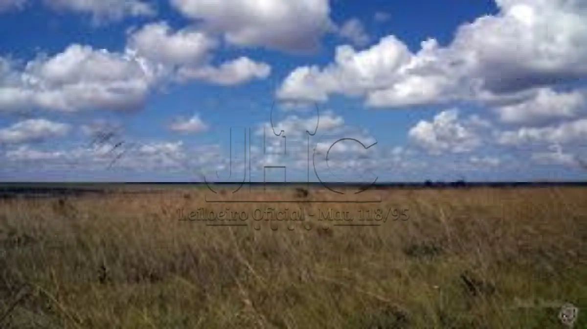 LOTE 000 - UMA FRAÇÃO DE CAMPO DE 20HA NO PASSO DO ROCHA - DOM PEDRITO/RS