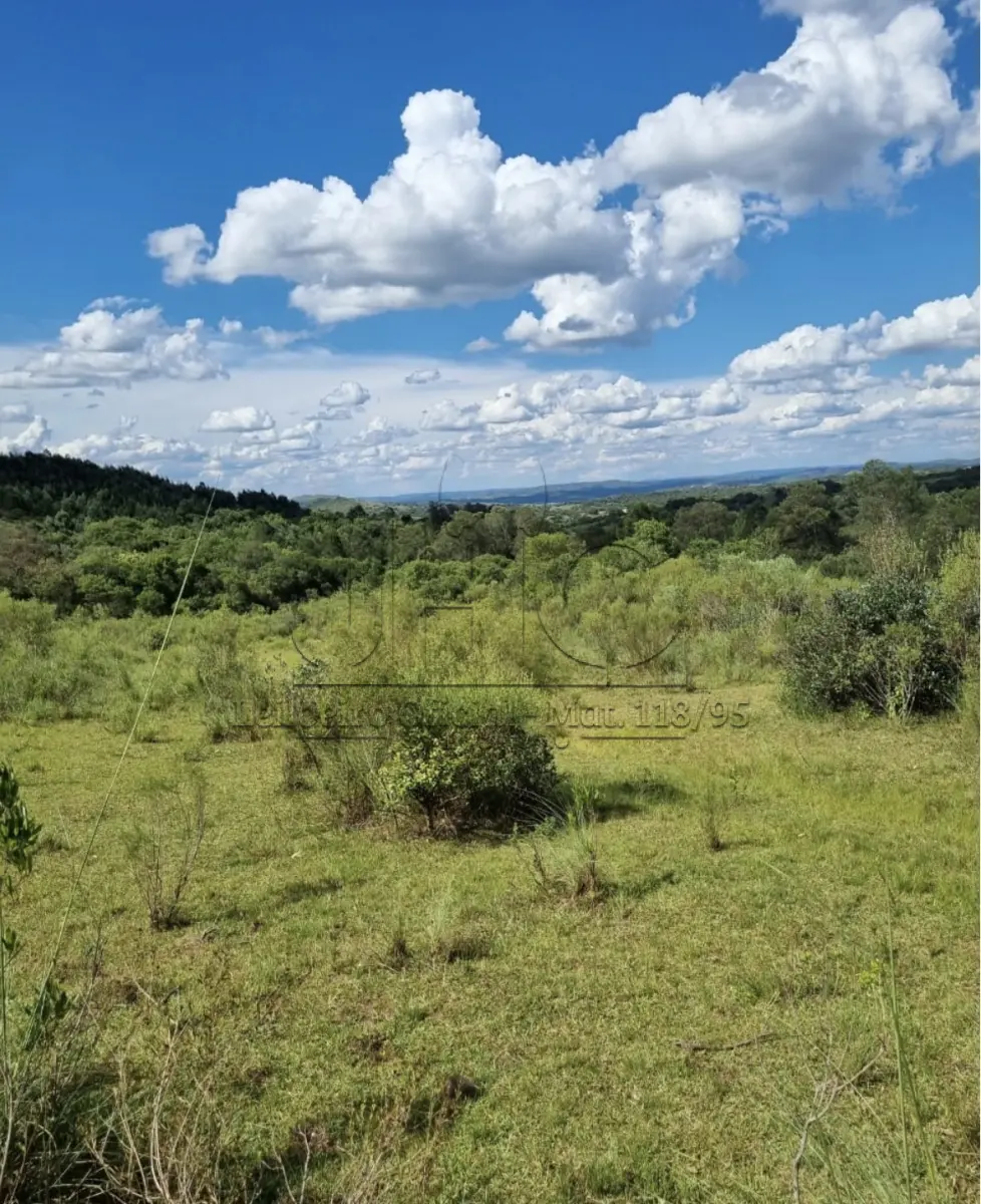 LOTE 001 - UMA GLEBA DE TERRAS DE 206 HECTARES NO SUBDISTRITO DE PALMAS - BAGÉ/RS