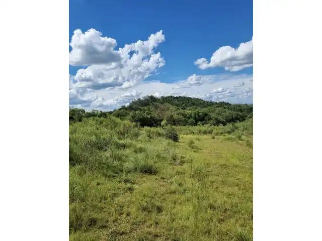 UMA FRAÇÃO DE TERRAS DE 206 HECTARES NO SUBDISTRITO DE PALMAS - BAGÉ/RS