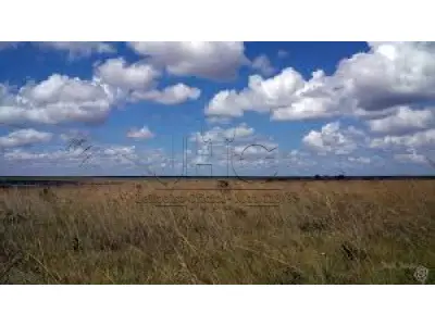 UMA FRAÇÃO DE CAMPO DE 20HA NO PASSO DO ROCHA - DOM PEDRITO/RS