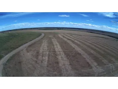 LOTE 001 - OS DIREITOS AQUISITIVOS DE UMA FRAÇÃO DE CAMPO - ÁREA DE 113,5429 HECTARES COM BENFEITORIAS - PASSO DO ALONSO - DOM PEDRITO/RS