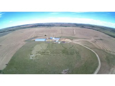 LOTE 001 - OS DIREITOS AQUISITIVOS DE UMA FRAÇÃO DE CAMPO - ÁREA DE 113,5429 HECTARES COM BENFEITORIAS - PASSO DO ALONSO - DOM PEDRITO/RS