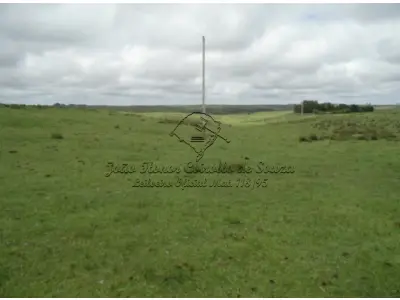 LOTE 001 - UMA FRAÇÃO DE CAMPO DE 23 HECTARES EM DOM PEDRITO/RS - LUGAR DENOMINADO SANTA MARIA