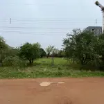 LOTE 001 - UM TERRENO 20X50 NA RUA ODILON ALVARES