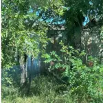 LOTE 001 - UMA FRAÇÃO DE TERRAS DE 14.738 M² NO BAIRRO SÃO MARTINS - BAGÉ/RS