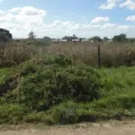 LOTE 000 - UMA ÁREA DE TERRAS CORRESPONDENTE A 1.299,99 m² EM DOM PEDRITO/RS