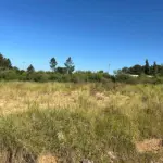 LOTE 001 - UMA FRAÇÃO DE TERRAS DE 14.738 M² NO BAIRRO SÃO MARTINS - BAGÉ/RS