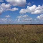 UMA FRAÇÃO DE CAMPO DE 20HA NO PASSO DO ROCHA - DOM PEDRITO/RS