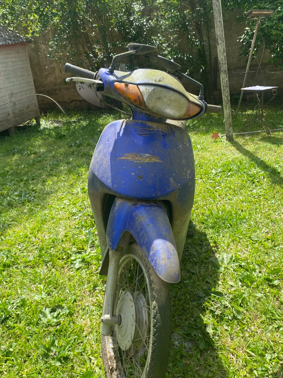 Foto 2